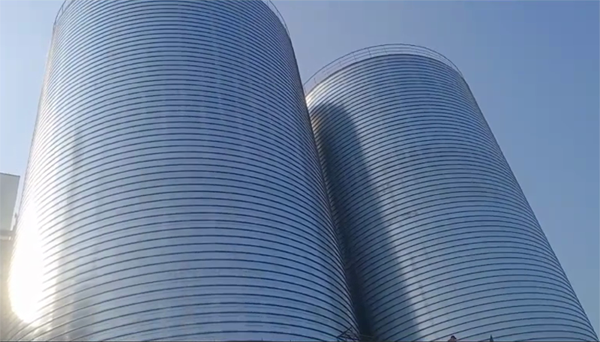 郊区2座混凝土高架卷板仓